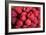 Raspberry-null-Framed Photographic Print