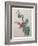 Raspberry-Pierre-Joseph Redoute-Framed Art Print