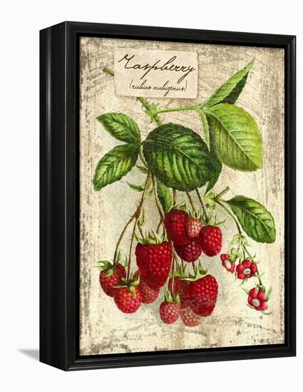 Raspberry-Kate Ward Thacker-Framed Premier Image Canvas