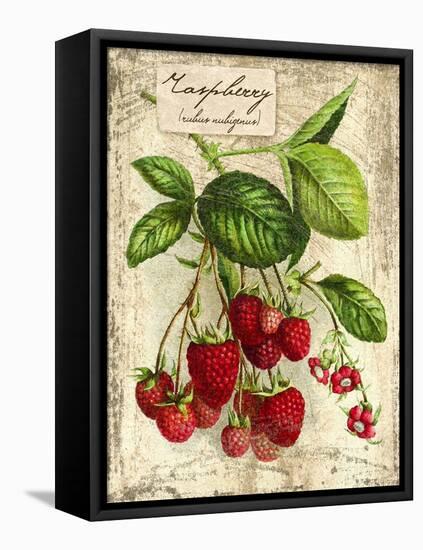 Raspberry-Kate Ward Thacker-Framed Premier Image Canvas