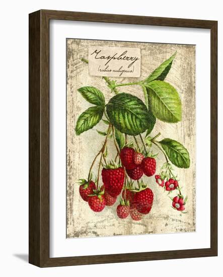 Raspberry-Kate Ward Thacker-Framed Giclee Print