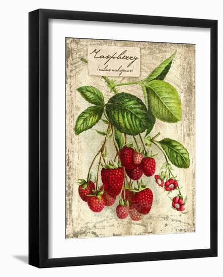 Raspberry-Kate Ward Thacker-Framed Giclee Print