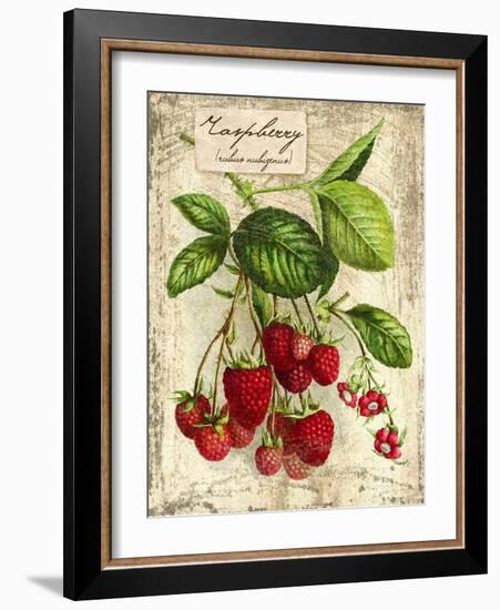 Raspberry-Kate Ward Thacker-Framed Giclee Print