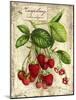 Raspberry-Kate Ward Thacker-Mounted Giclee Print