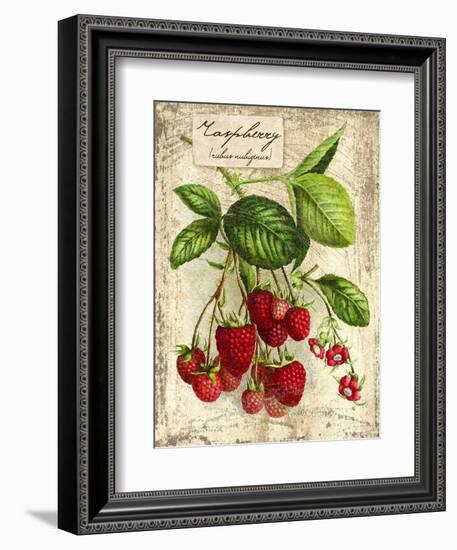 Raspberry-Kate Ward Thacker-Framed Giclee Print