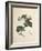 Raspberry-Pierre Joseph Redoute-Framed Giclee Print