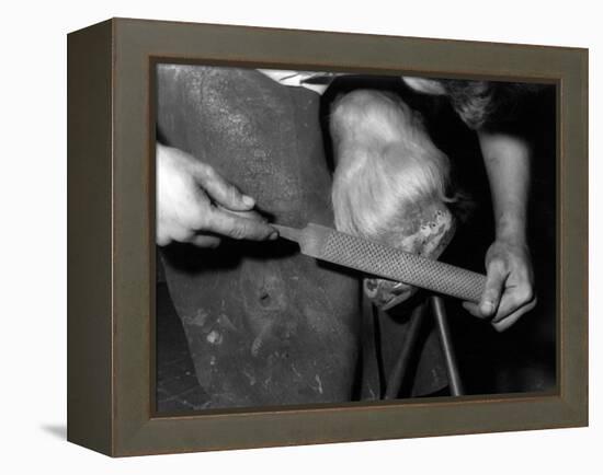 Rasping a Hoof-null-Framed Premier Image Canvas