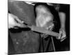 Premium Photographic Print