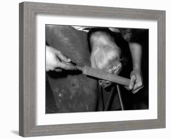 Rasping a Hoof-null-Framed Photographic Print