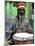Rasta Jamaican Reggae Performer, St. John, Antigua-Bill Bachmann-Mounted Photographic Print