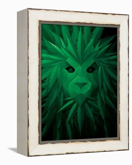 Rasta Lion Illusion-JJ Brando-Framed Stretched Canvas