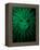 Rasta Lion Illusion-JJ Brando-Framed Stretched Canvas