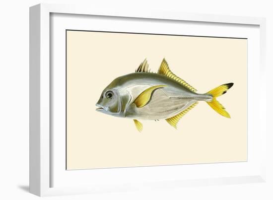 Rat - Goroo-Parawah-John Whitchurch Bennett-Framed Premium Giclee Print