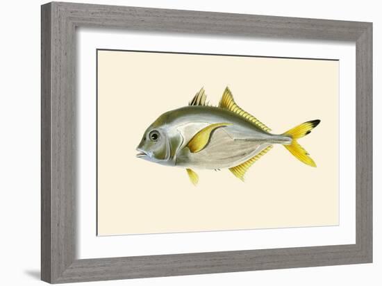 Rat - Goroo-Parawah-John Whitchurch Bennett-Framed Art Print