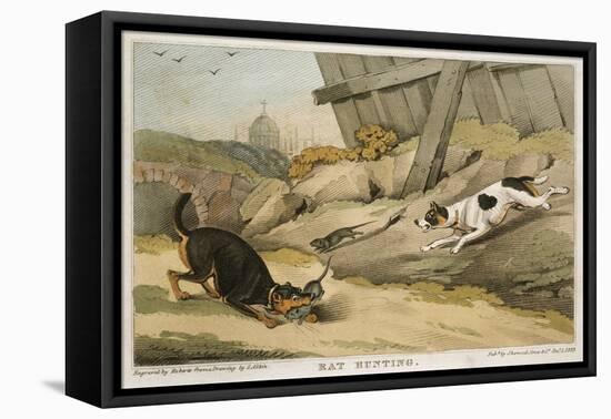 Rat Hunting, 1823-null-Framed Premier Image Canvas