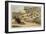 Rat Hunting, 1823-null-Framed Giclee Print