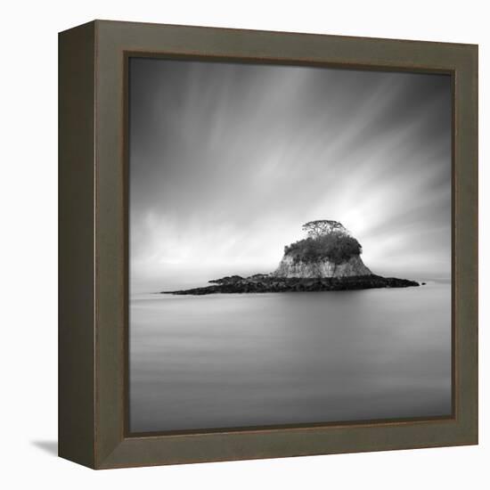 Rat Island 2-Moises Levy-Framed Premier Image Canvas