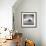 Rat Island-Moises Levy-Framed Photographic Print displayed on a wall
