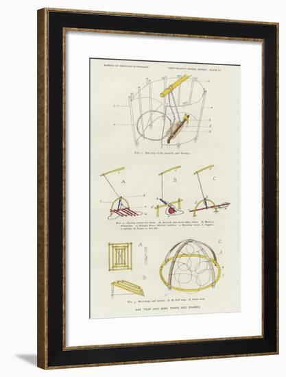 Rat Trap and Bird Traps and Snares-null-Framed Giclee Print