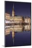 Rathaus (city hall) reflecting at Kleine Alster Lake, Hamburg, Hanseatic City, Germany, Europe-Markus Lange-Mounted Photographic Print