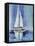 Rather Be Sailing II-Farrell Douglass-Framed Premier Image Canvas