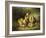 Rather Hard Fare-Arthur Fitzwilliam Tait-Framed Giclee Print