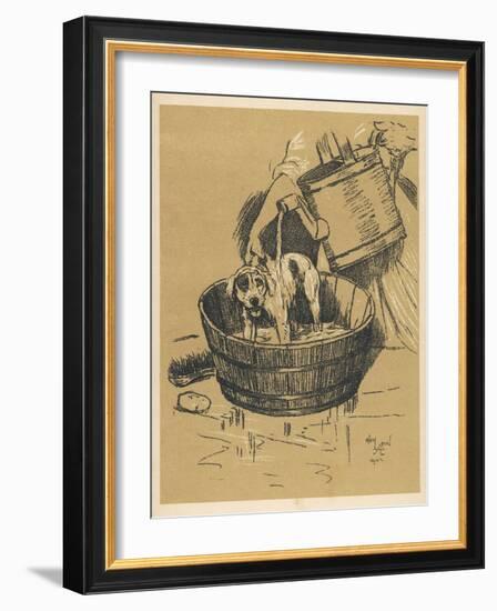 Rather Uncomfortable-Looking Dog is Given His Bath-Cecil Aldin-Framed Photographic Print