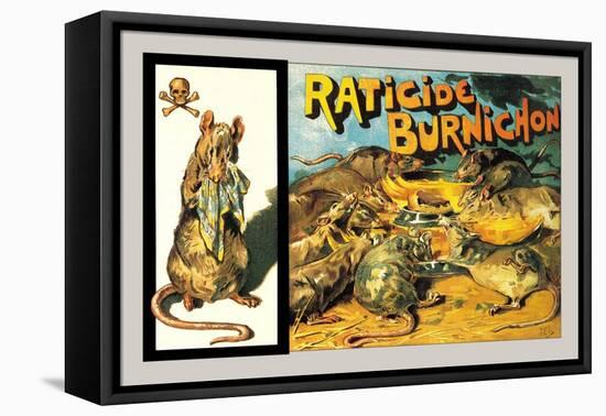 Raticide Burnichon, c.1888-Théophile Alexandre Steinlen-Framed Stretched Canvas