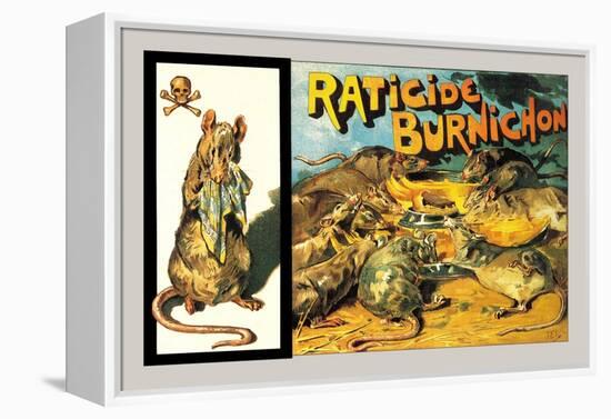 Raticide Burnichon, c.1888-Théophile Alexandre Steinlen-Framed Stretched Canvas