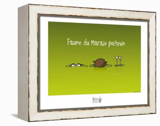 Rats d'marais - Faune poitevine-Sylvain Bichicchi-Framed Stretched Canvas