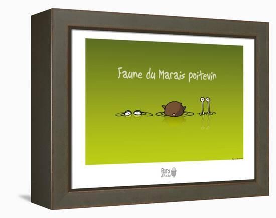 Rats d'marais - Faune poitevine-Sylvain Bichicchi-Framed Stretched Canvas