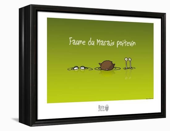 Rats d'marais - Faune poitevine-Sylvain Bichicchi-Framed Stretched Canvas