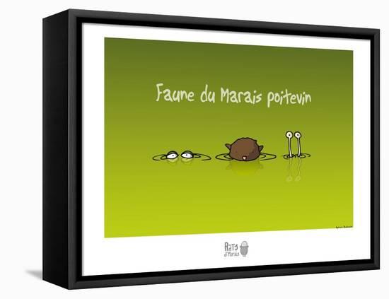 Rats d'marais - Faune poitevine-Sylvain Bichicchi-Framed Stretched Canvas