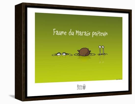 Rats d'marais - Faune poitevine-Sylvain Bichicchi-Framed Stretched Canvas