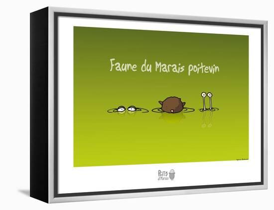 Rats d'marais - Faune poitevine-Sylvain Bichicchi-Framed Stretched Canvas