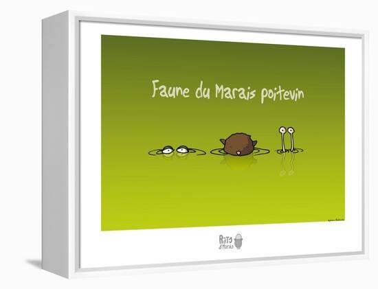 Rats d'marais - Faune poitevine-Sylvain Bichicchi-Framed Stretched Canvas