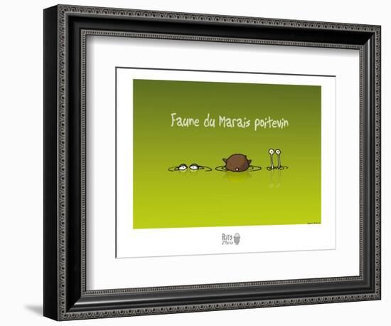 Rats d'marais - Faune poitevine-Sylvain Bichicchi-Framed Premium Giclee Print