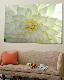 Loft Art