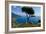 Ravello Villa Rufolo Amalfi Coast-Charles Bowman-Framed Photographic Print