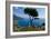 Ravello Villa Rufolo Amalfi Coast-Charles Bowman-Framed Photographic Print