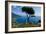 Ravello Villa Rufolo Amalfi Coast-Charles Bowman-Framed Photographic Print