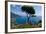 Ravello Villa Rufolo Amalfi Coast-Charles Bowman-Framed Photographic Print