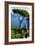 Ravello Villa Rufolo Amalfi Coast-Charles Bowman-Framed Photographic Print