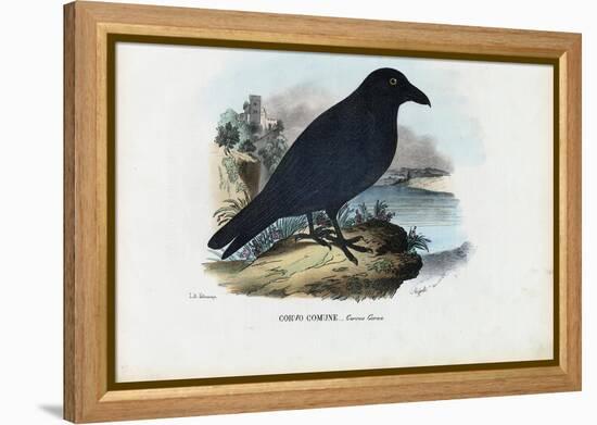Raven, 1863-79-Raimundo Petraroja-Framed Premier Image Canvas