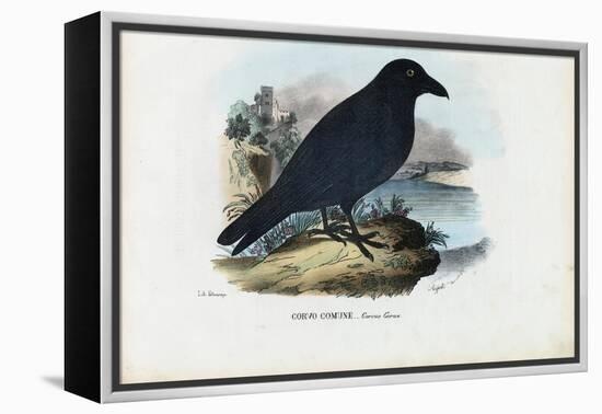 Raven, 1863-79-Raimundo Petraroja-Framed Premier Image Canvas