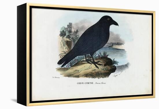 Raven, 1863-79-Raimundo Petraroja-Framed Premier Image Canvas