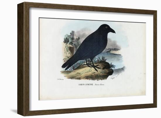 Raven, 1863-79-Raimundo Petraroja-Framed Giclee Print