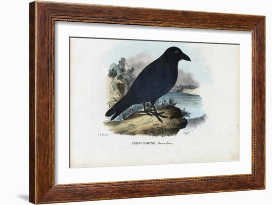 Raven, 1863-79-Raimundo Petraroja-Framed Giclee Print