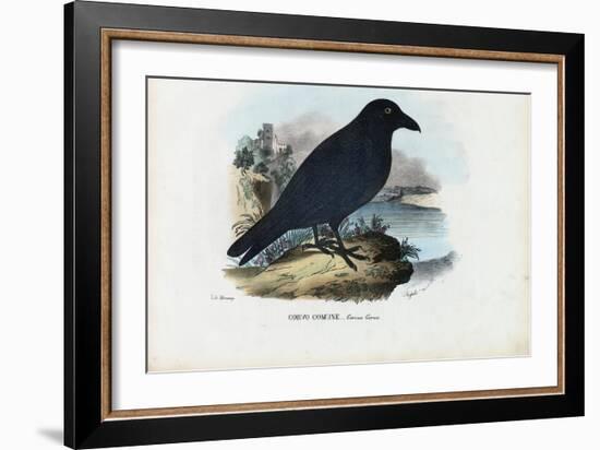 Raven, 1863-79-Raimundo Petraroja-Framed Giclee Print