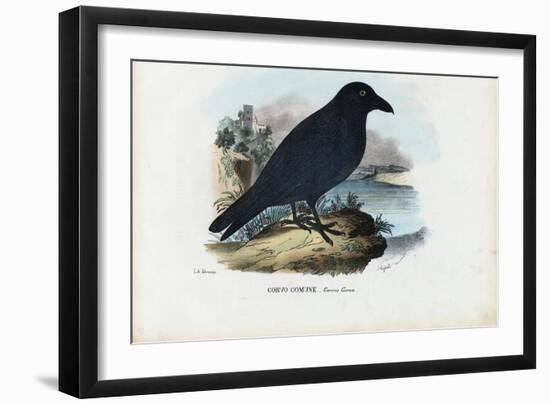 Raven, 1863-79-Raimundo Petraroja-Framed Giclee Print